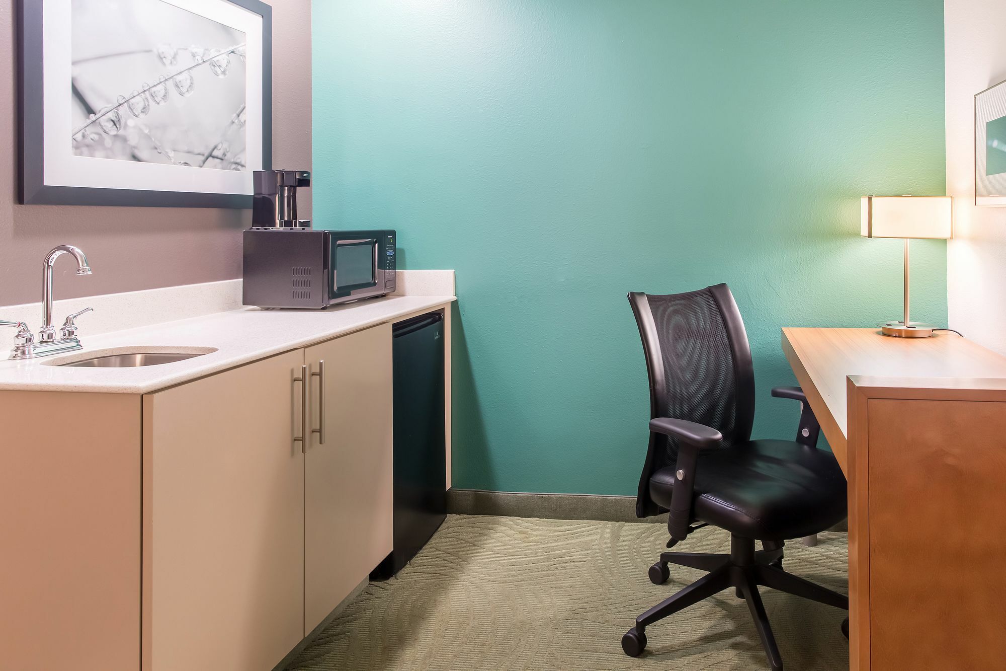 Springhill Suites By Marriott Memphis East Galleria Екстер'єр фото