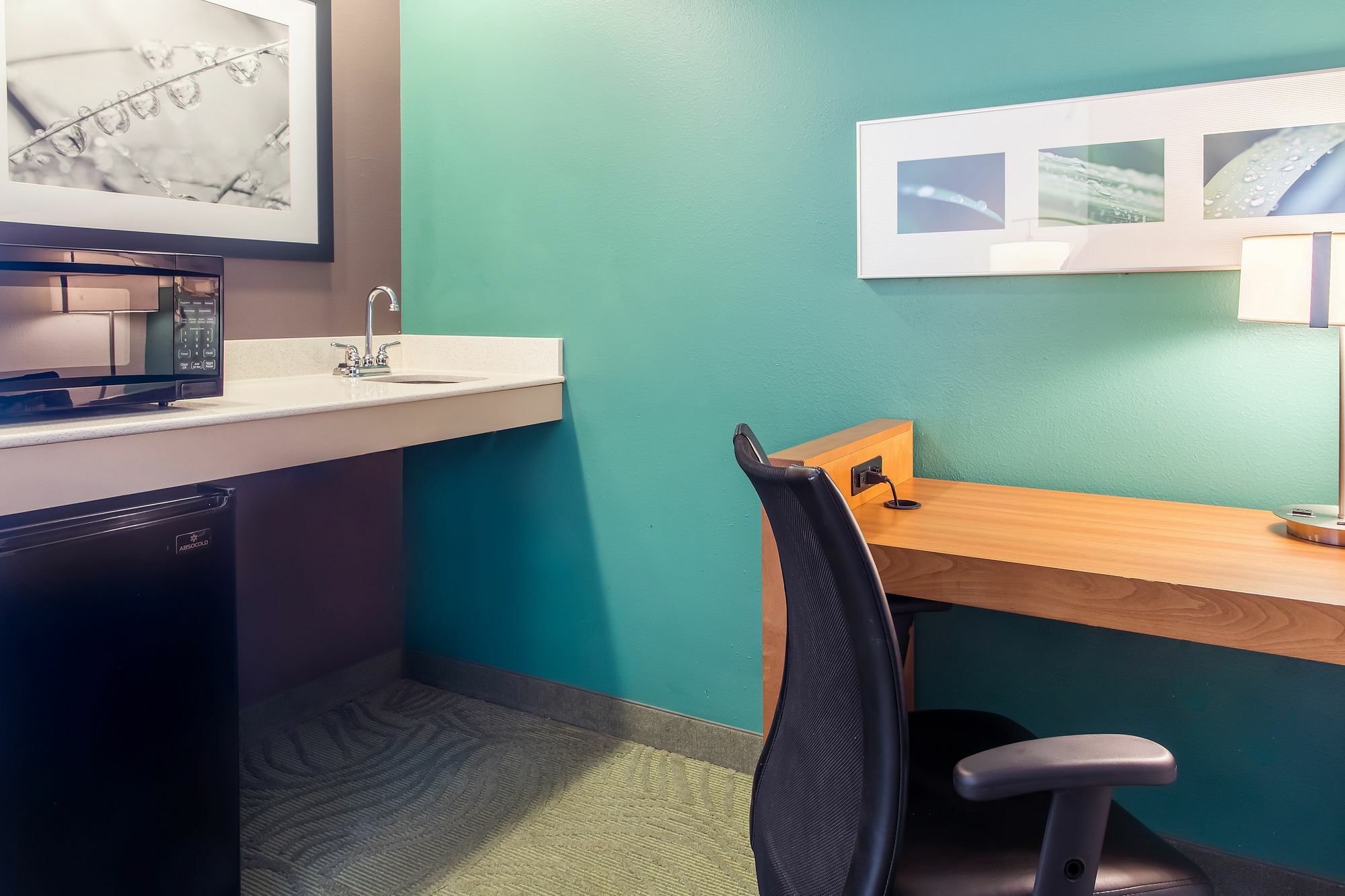 Springhill Suites By Marriott Memphis East Galleria Екстер'єр фото